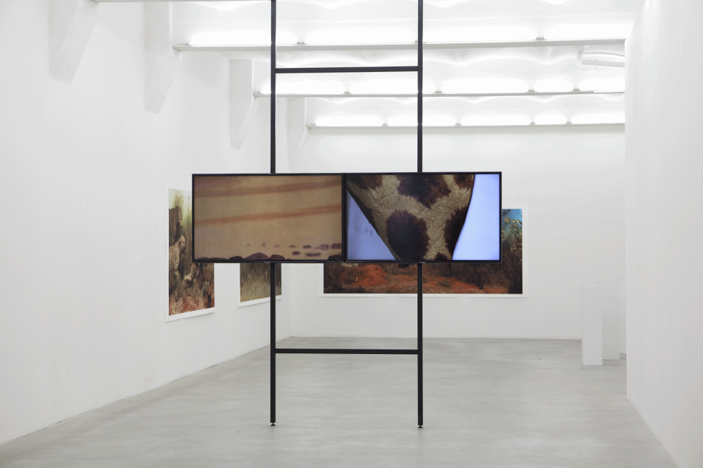 Into the Interior (Last day of the permanent exhibition)